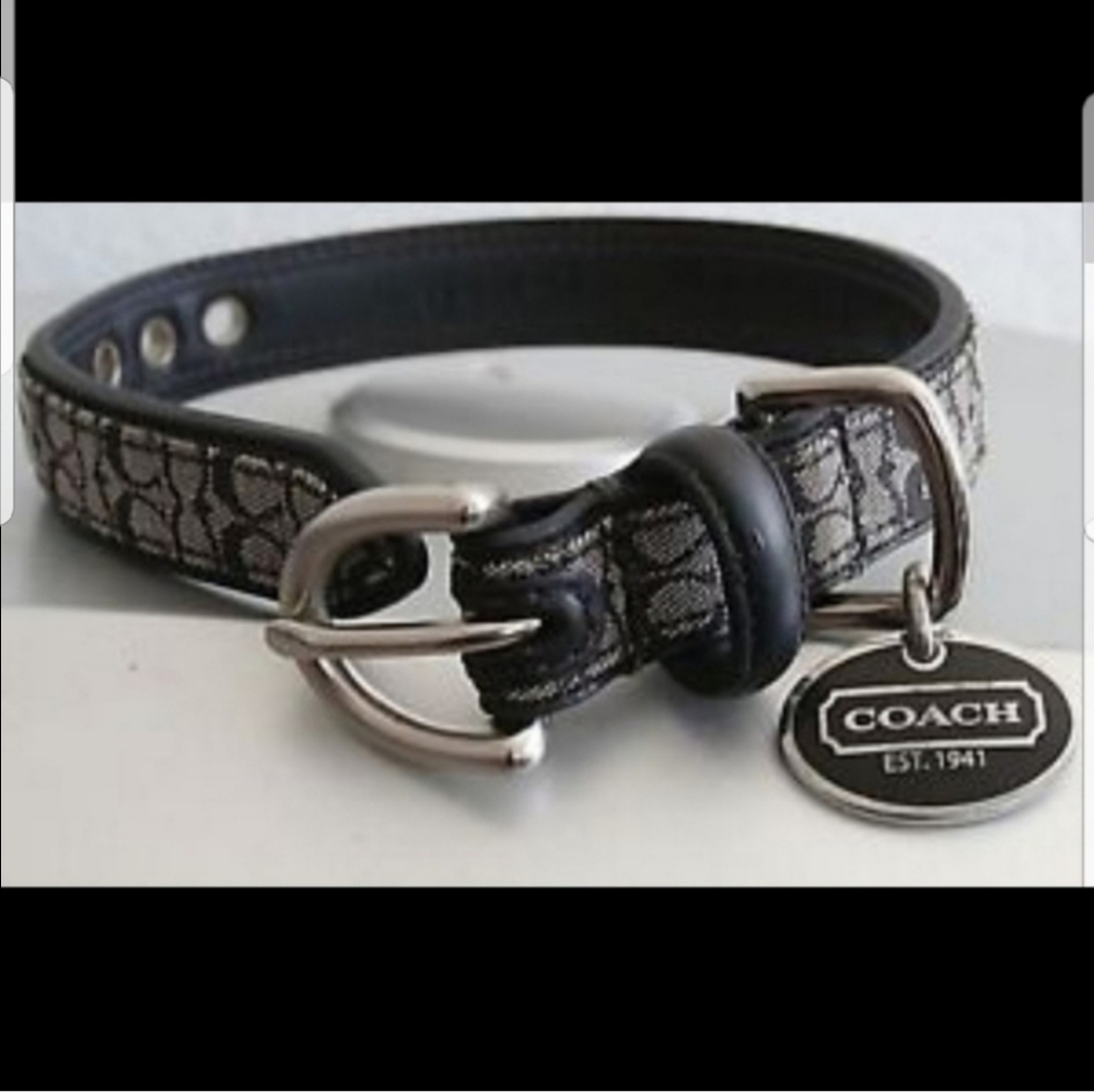 Coach Dog Collar
